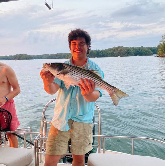 Meet your Posher, Jack - Picture 1 of 1